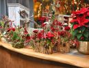 advent prauser06