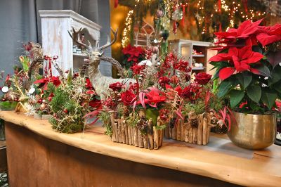 advent prauser06