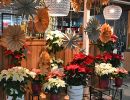 advent prauser08