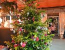 advent prauser11