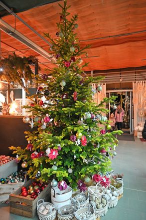 advent prauser11